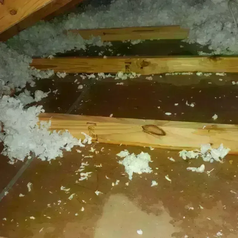 Attic Water Damage in Tustin, CA