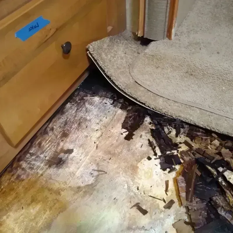 Wood Floor Water Damage in Tustin, CA